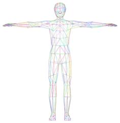 Colorful wireframe man image