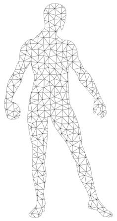 Man wireframe silhouette