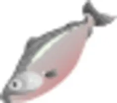 Salmon fish image