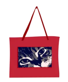 Cat bag