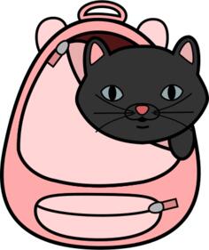 Cat in a bag