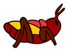 Colorful bug image