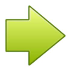 Go next icon