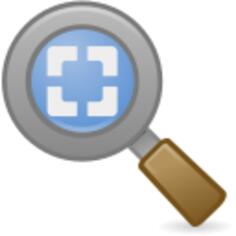Best fit zoom icon