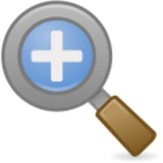 Zoom in icon image