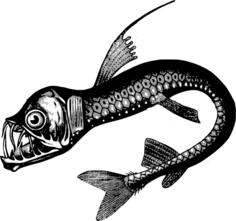Real sea monster
