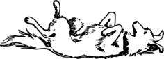 Dog lying