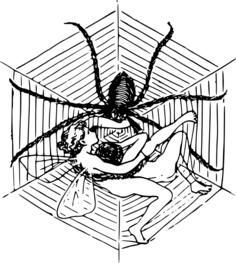 Woman and spider illustration