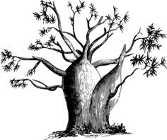 Small tree