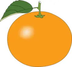 Simple sweet orange