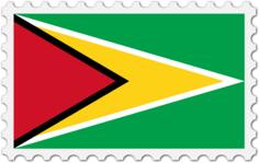 Guyana flag image