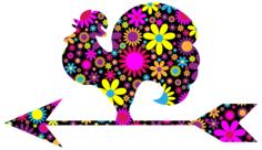 Colorful rooster image