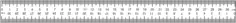 Ruler 31cm