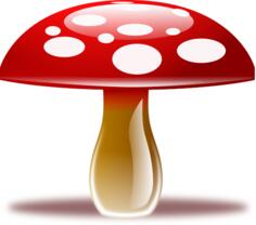 Mushroom with shadow
