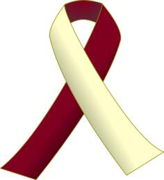Burgundy and Ivory Ribbon
