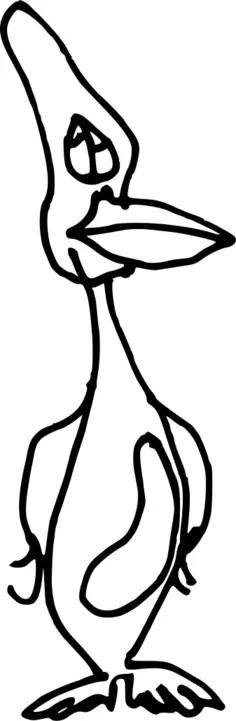 Penguin bird