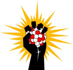 Atomic fist