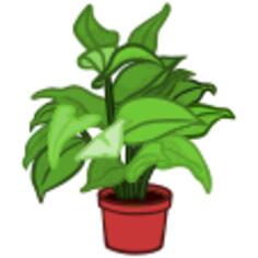 Potted plant image