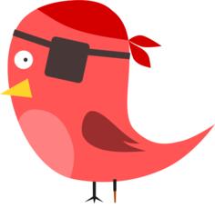 Pirate bird