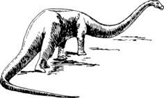 Sauropod drawing