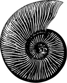 Snail silhouette image