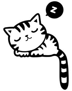 Sleeping kitty