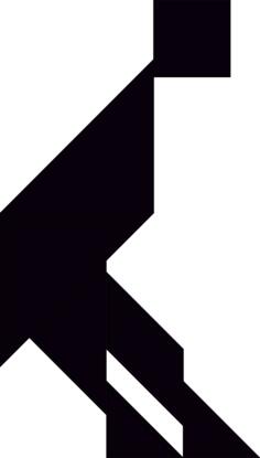 Tangram vector graphics