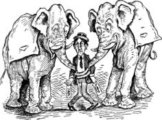 Elephants an man