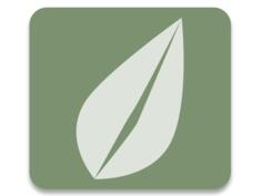 Leaf icon