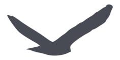 Predatory bird silhouette