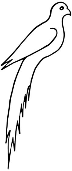 Bird image