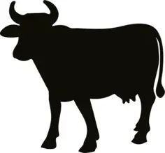 Cow silhouette image