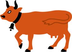 Orange cow