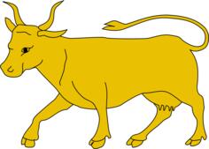 Yellow bull