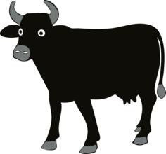 Daisy the cow