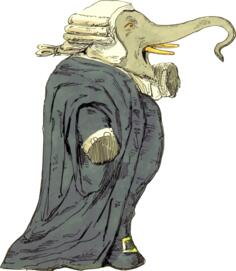 Elephant judge