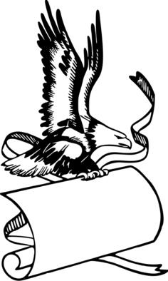 Eagle banner
