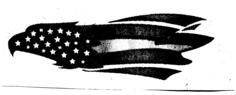 American eagle