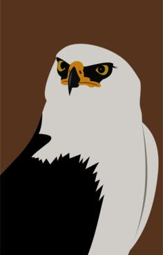 Eagle sketch