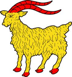 Yellow goat
