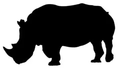 Rhino silhouette image