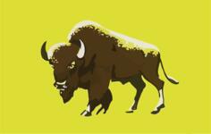 Buffalo with green background