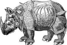 Armor rhino