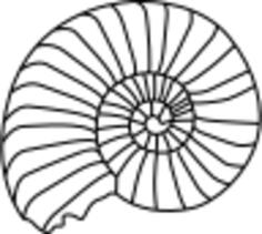 Snail image