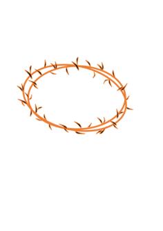 Orange crown