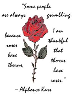 Rose with text