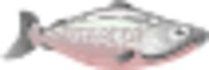 Salmon image