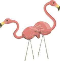 Flamingo image