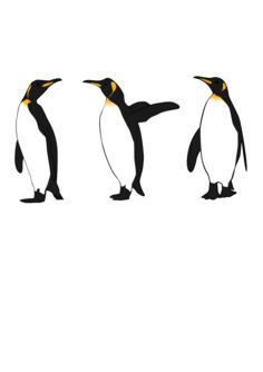 Three king penguins
