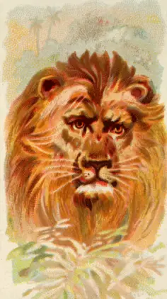Painted lion